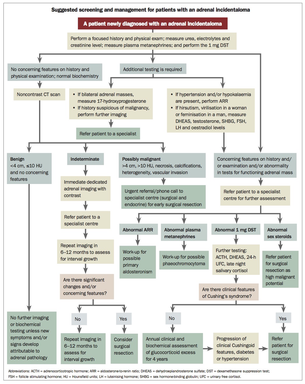 Adrenal incidentaloma key issues in screening and diagnosis